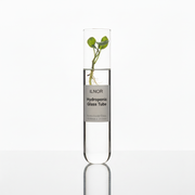 ILNOR Hydroponic Glass Tube - Ø38mm x 200mm