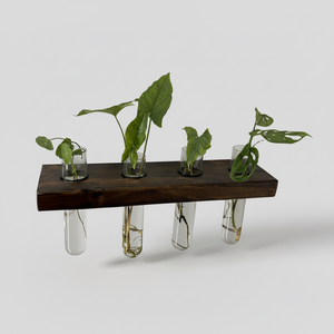 ILNOR Linea 4 – Hydroponic Wall Planter | Classic Walnut Wall Decor